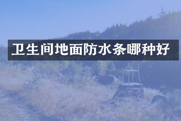 卫生间地面防水条哪种好