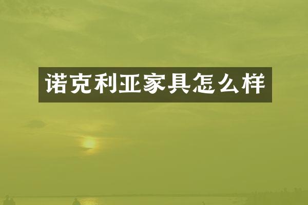 诺克利亚家具怎么样
