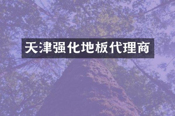 天津强化地板代理商