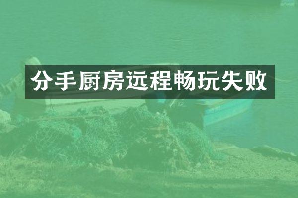 分手厨房远程畅玩失败