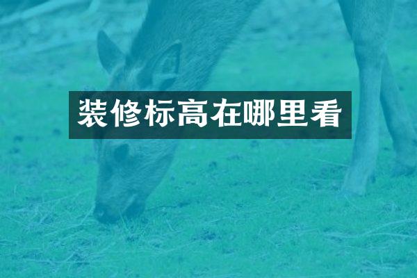 装修标高在哪里看