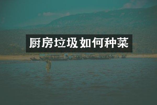 厨房垃圾如何种菜
