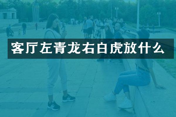 客厅左青龙右白虎放什么