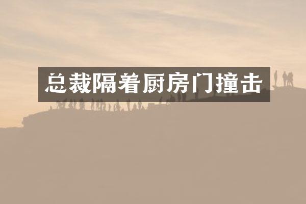 总裁隔着厨房门撞击