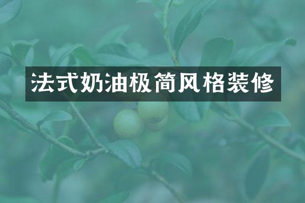 法式奶油极简风格装修