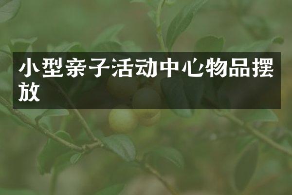 小型亲子活动中心物品摆放