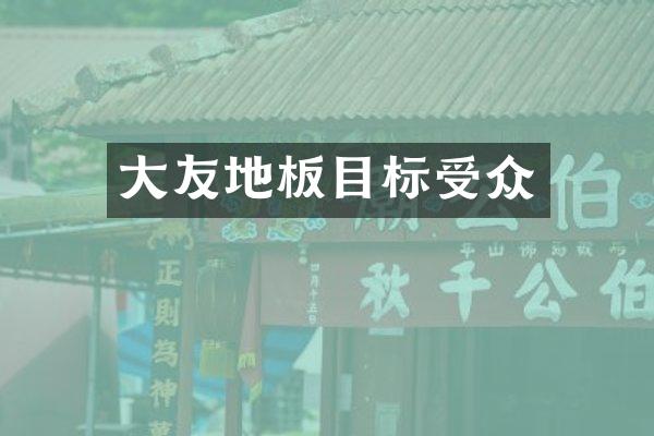 大友地板目标受众