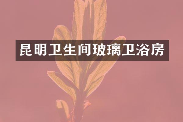 昆明卫生间玻璃卫浴房