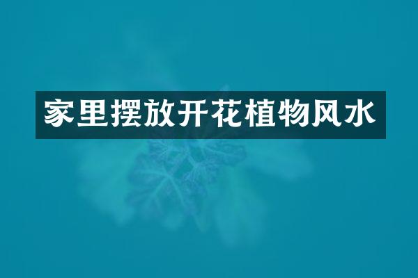 家里摆放开花植物风水