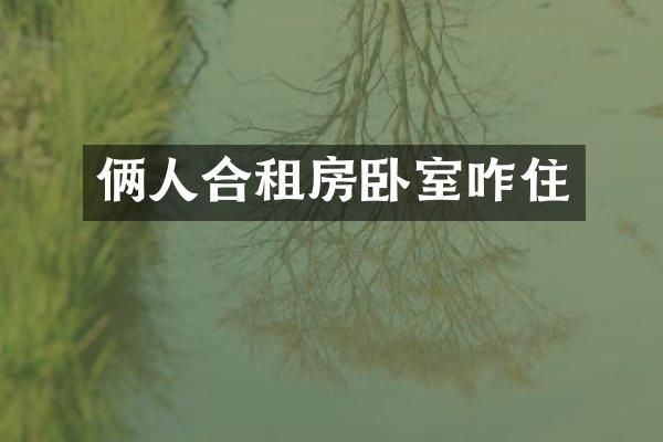 俩人合租房卧室咋住