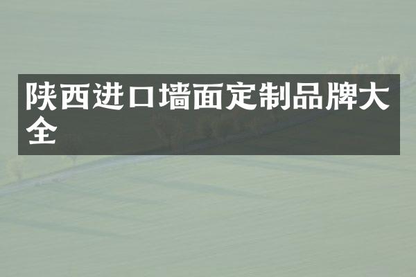 陕西进口墙面定制品牌大全