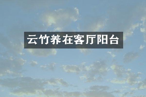 云竹养在客厅阳台