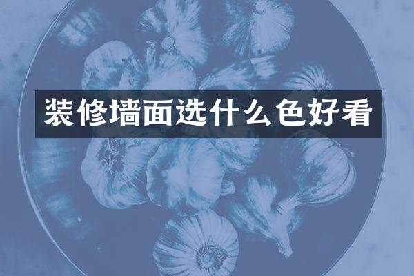 装修墙面选什么色好看