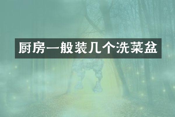 厨房一般装几个洗菜盆