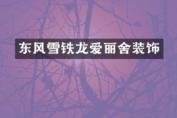 东风雪铁龙爱丽舍装饰