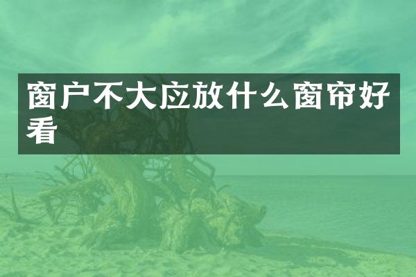 窗户不大应放什么窗帘好看