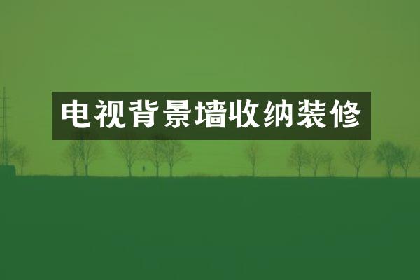 电视背景墙收纳装修
