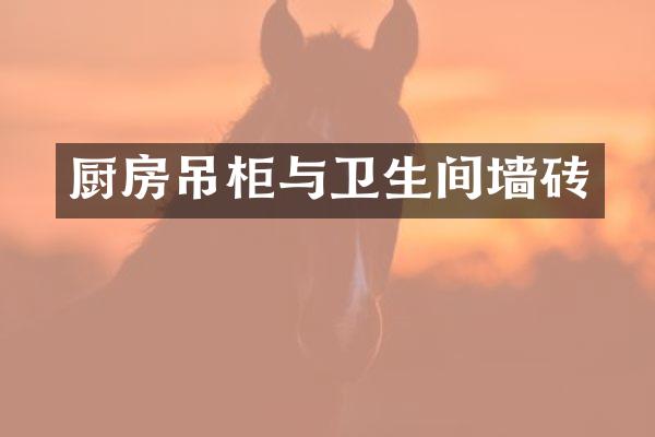 厨房吊柜与卫生间墙砖