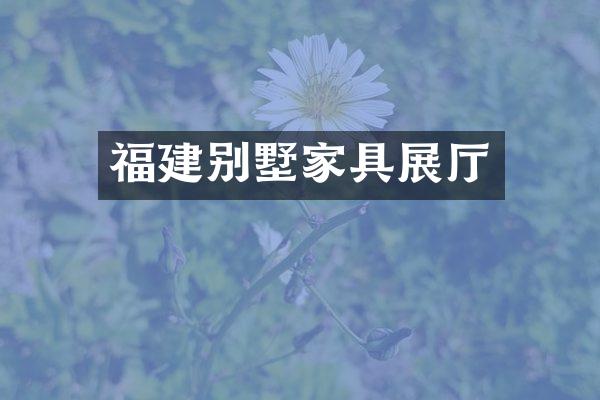 福建别墅家具展厅