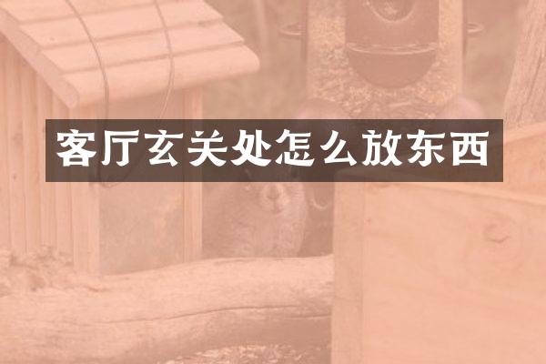 客厅玄关处怎么放东西