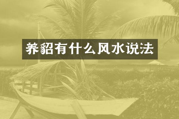 养貂有什么风水说法