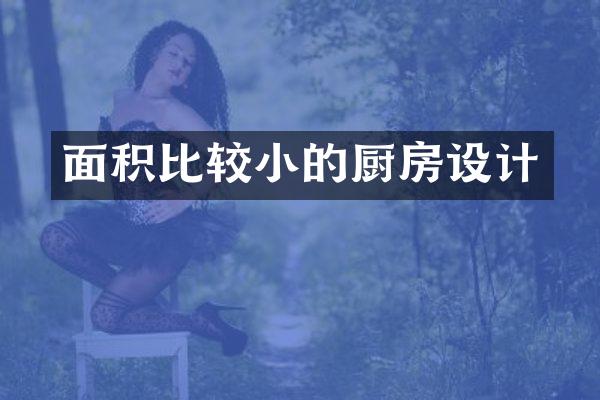 面积比较小的厨房设计