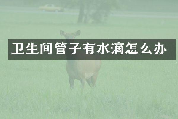 卫生间管子有水滴怎么办