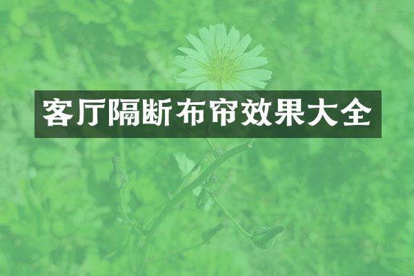 客厅隔断布帘效果大全