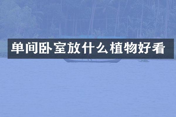 单间卧室放什么植物好看