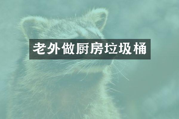 老外做厨房垃圾桶