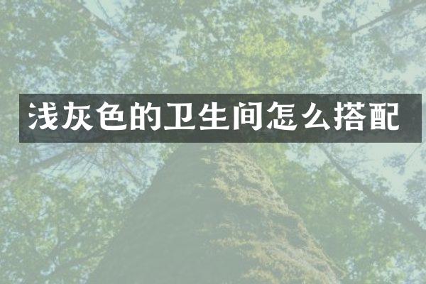 浅灰色的卫生间怎么搭配