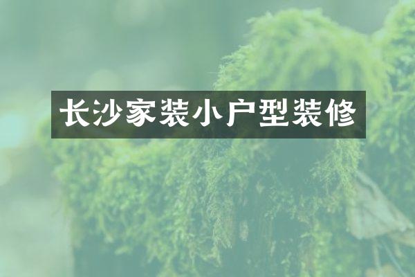长沙家装小户型装修