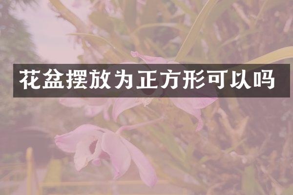 花盆摆放为正方形可以吗