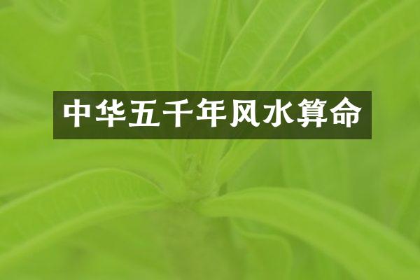 中华五千年风水算命