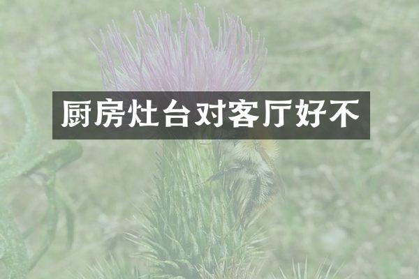 厨房灶台对客厅好不