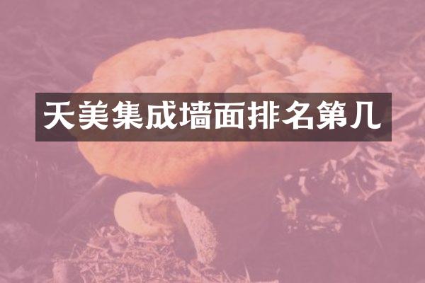 天美集成墙面排名第几