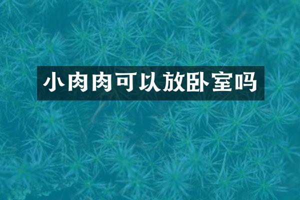 小肉肉可以放卧室吗