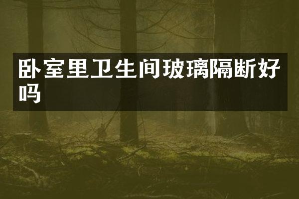 卧室里卫生间玻璃隔断好吗