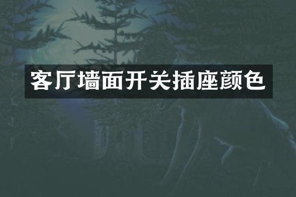 客厅墙面开关插座颜色