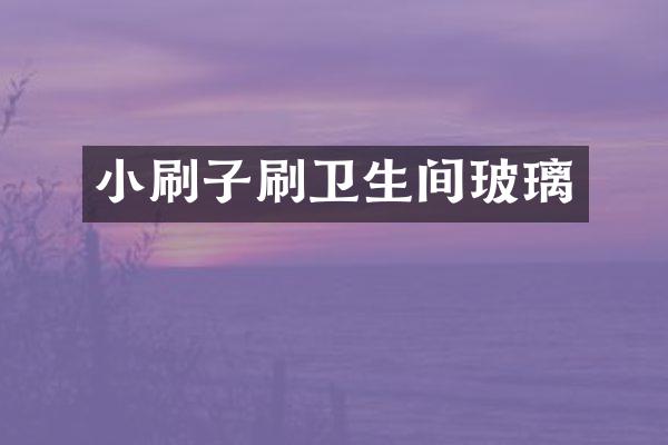 小刷子刷卫生间玻璃