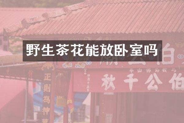 野生茶花能放卧室吗