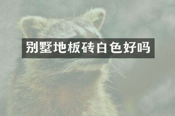 别墅地板砖白色好吗