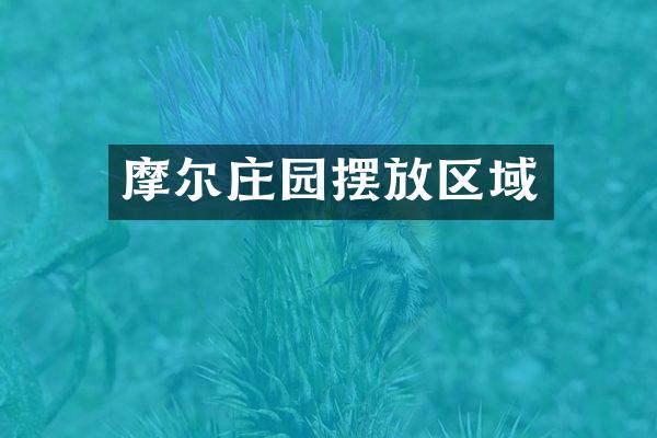 摩尔庄园摆放区域