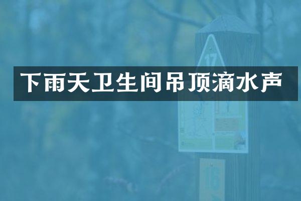 下雨天卫生间吊顶滴水声