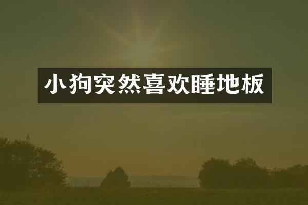小狗突然喜欢睡地板