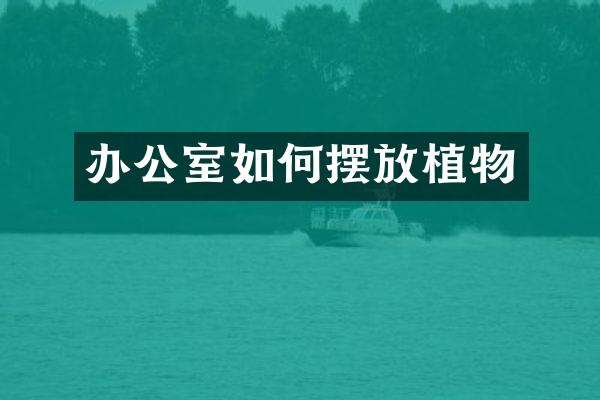 办公室如何摆放植物