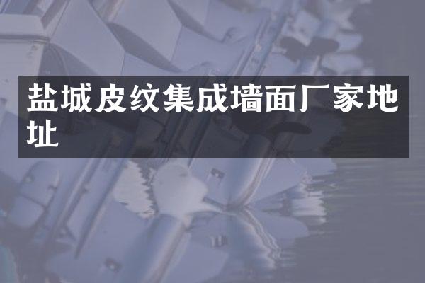 盐城皮纹集成墙面厂家地址