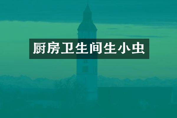 厨房卫生间生小虫