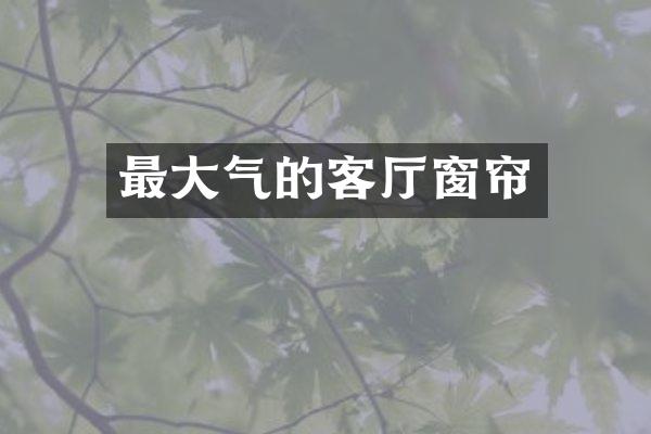 最大气的客厅窗帘