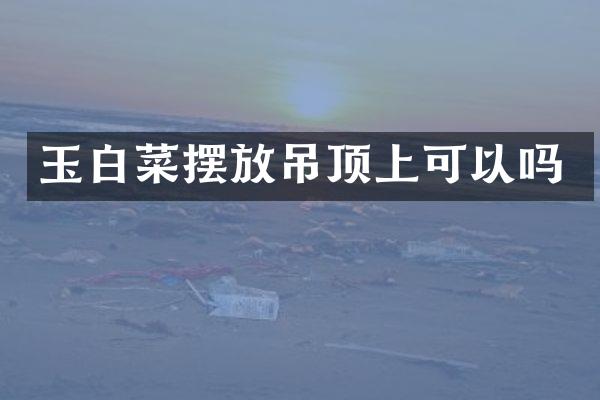 玉白菜摆放吊顶上可以吗